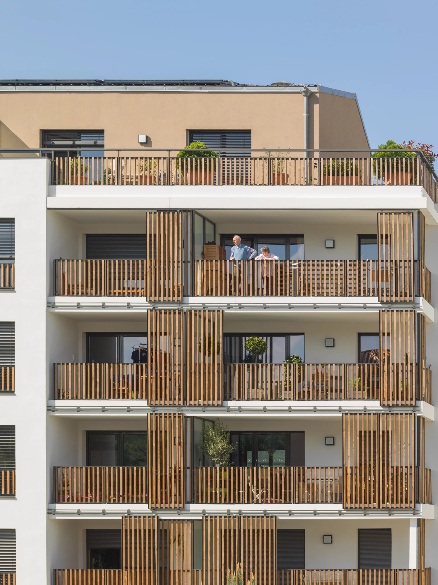Les Suites de Saône