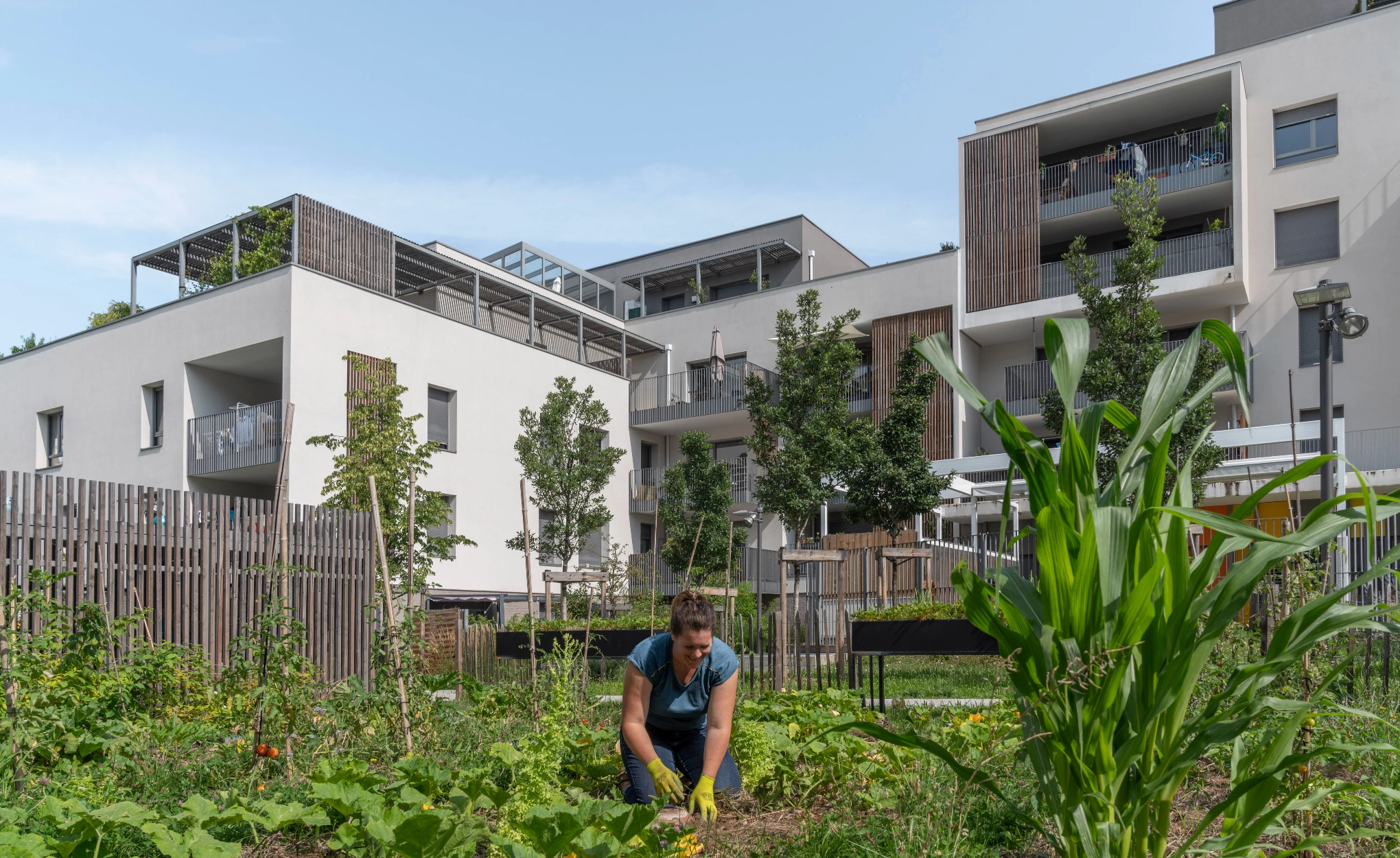 Le Jardin des Éléments