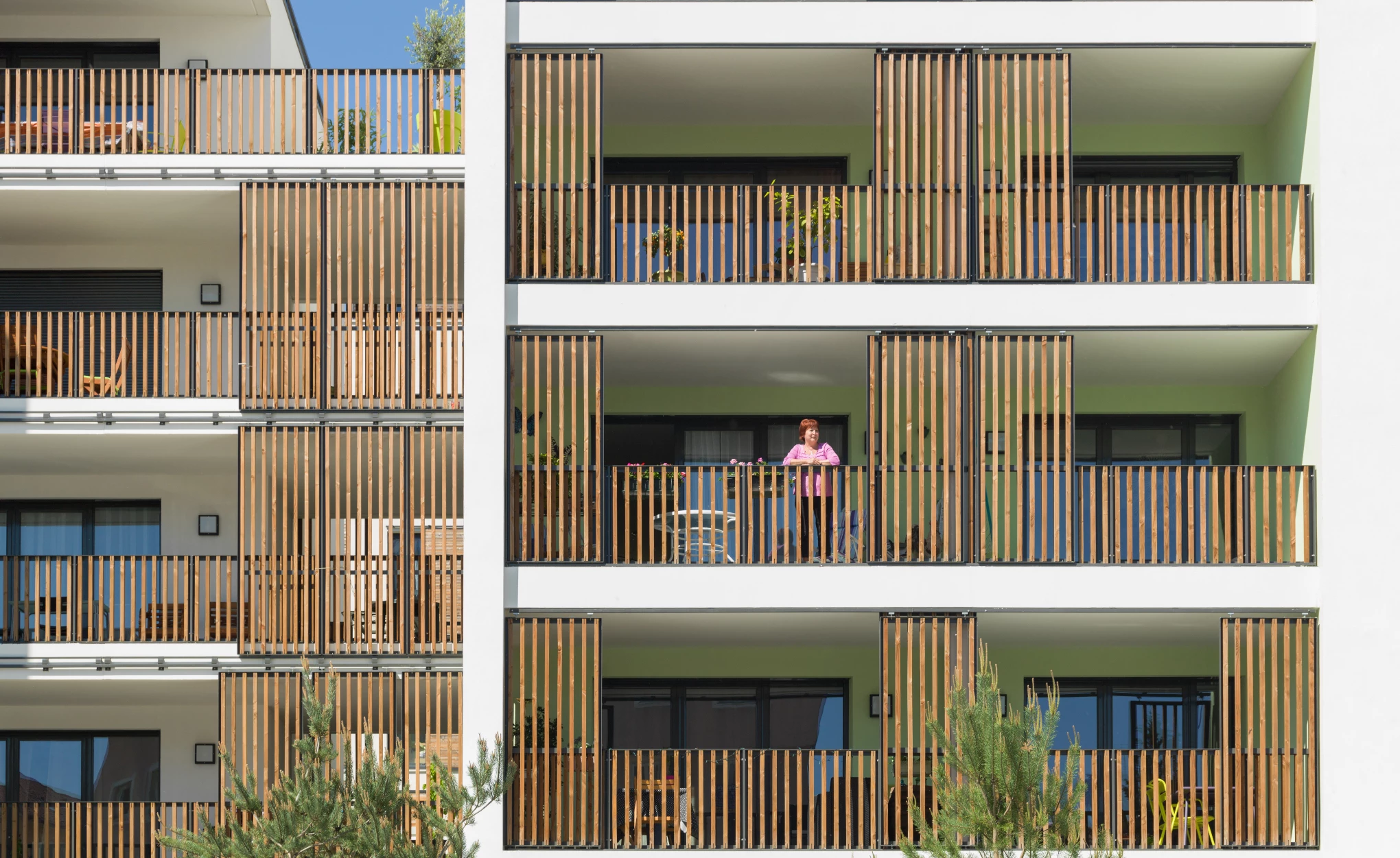 Les Suites de Saône